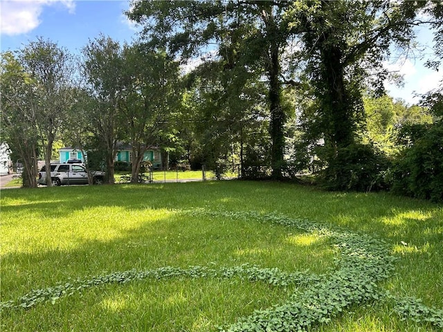 2365 Dog River Dr N, Mobile, AL 36605 - view of yard