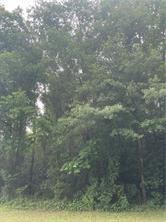 1430 Joyce Rd, Mobile, AL 36652