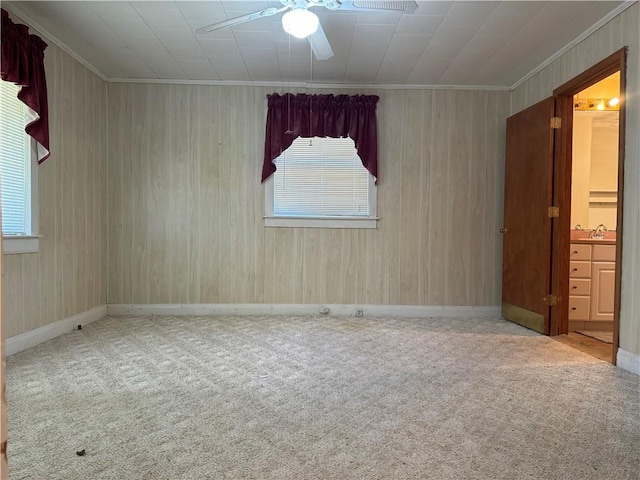 empty room featuring crown molding and carpet