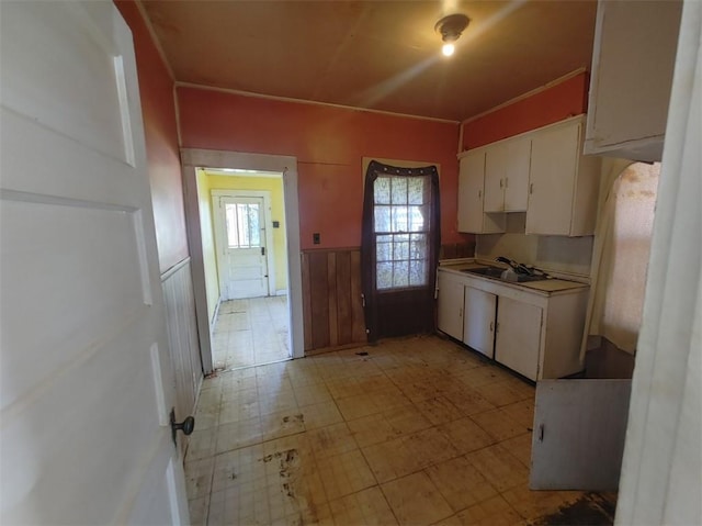 kitchen with white cabinetry, sink, and wooden walls