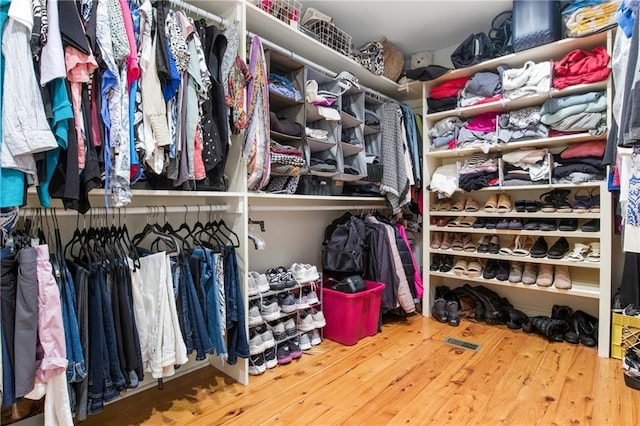 walk in closet featuring wood-type flooring