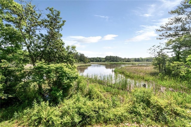 2100 River Forest Rd, Mobile, AL 36605 - water view