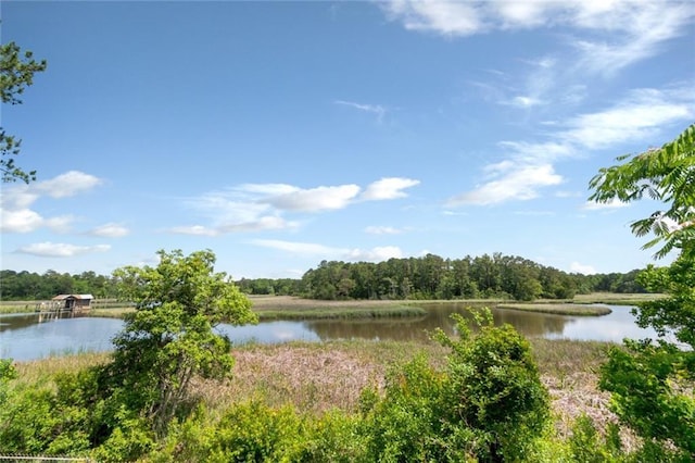 2100 River Forest Rd, Mobile, AL 36605 - water view