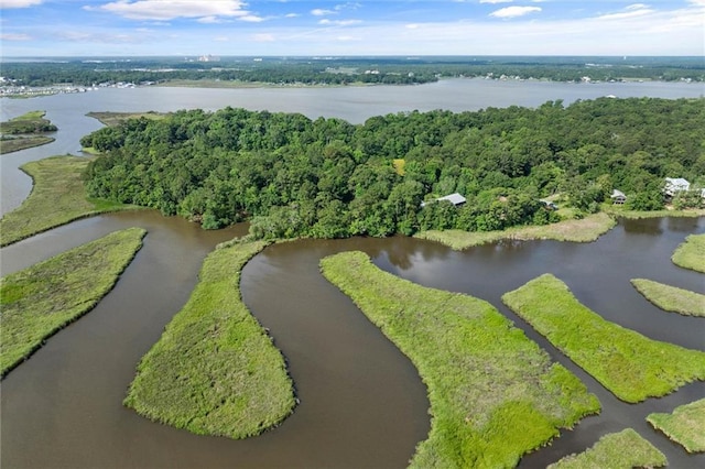 2100 River Forest Rd, Mobile, AL 36605 - view of property location with a large body of water