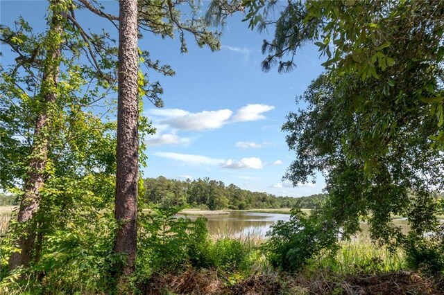 2100 River Forest Rd, Mobile, AL 36605 - water view with a heavily wooded area