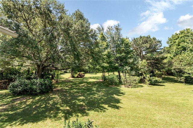 2100 River Forest Rd, Mobile, AL 36605 - view of green lawn