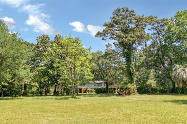 2100 River Forest Rd, Mobile, AL 36605 - view of green lawn