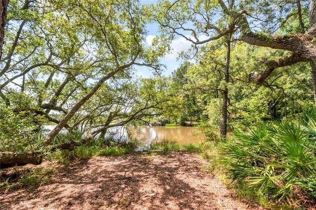2100 River Forest Rd, Mobile, AL 36605 - view of yard with a water view