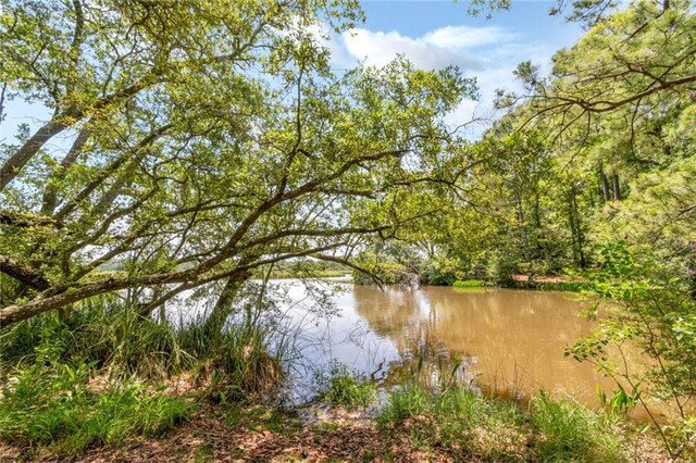 2100 River Forest Rd, Mobile, AL 36605 - water view with a forest