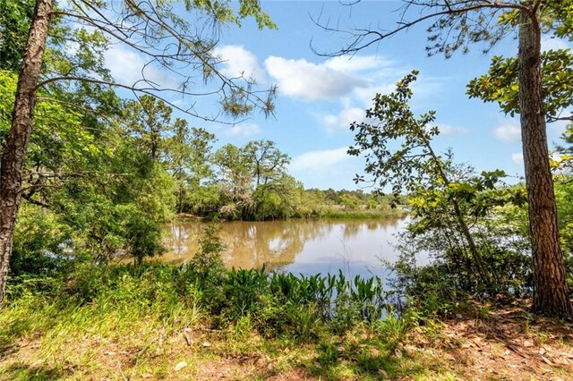 2100 River Forest Rd, Mobile, AL 36605 - water view featuring a forest