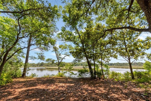 2100 River Forest Rd, Mobile, AL 36605 - water view