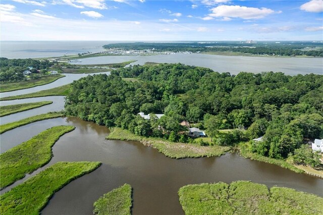 2100 River Forest Rd, Mobile, AL 36605 - aerial overview of property's location featuring a large body of water