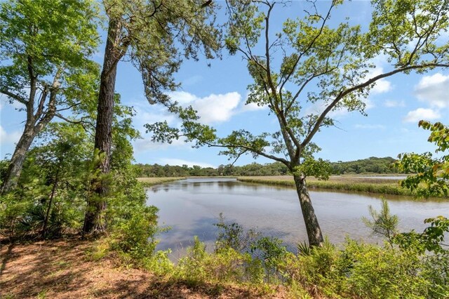 2100 River Forest Rd, Mobile, AL 36605 - water view