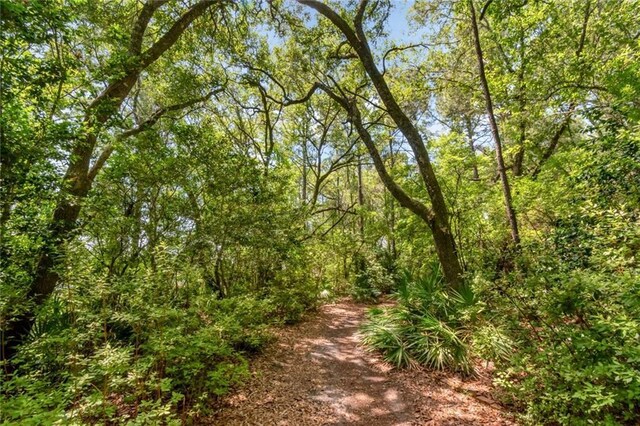 2100 River Forest Rd, Mobile, AL 36605 - view of wooded area