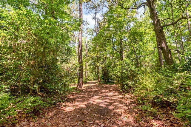 2100 River Forest Rd, Mobile, AL 36605 - view of road with a forest view