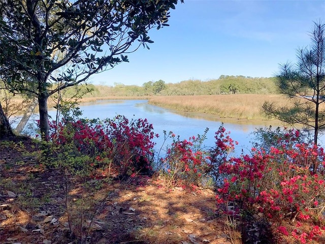 2100 River Forest Rd, Mobile, AL 36605 - water view featuring a forest