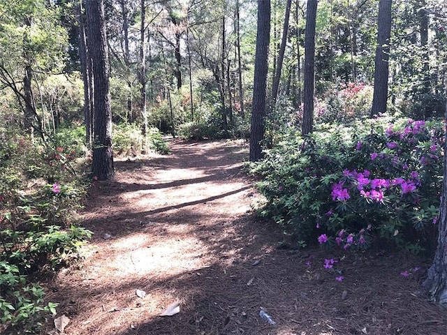 2100 River Forest Rd, Mobile, AL 36605 - view of road featuring a view of trees