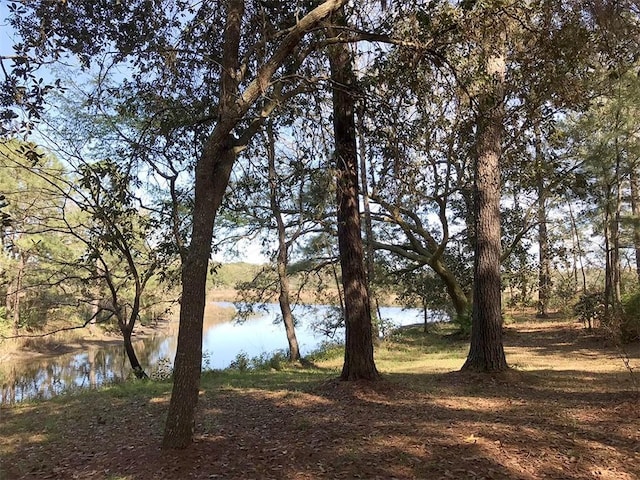 2100 River Forest Rd, Mobile, AL 36605 - water view