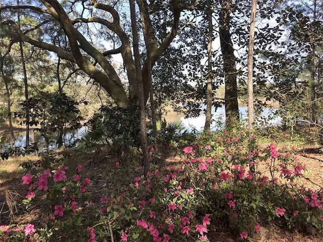 2100 River Forest Rd, Mobile, AL 36605 - water view