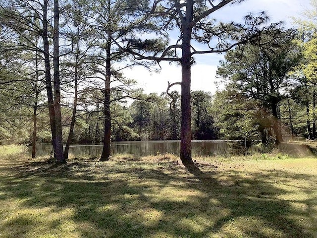 2100 River Forest Rd, Mobile, AL 36605 - view of yard featuring a view of trees
