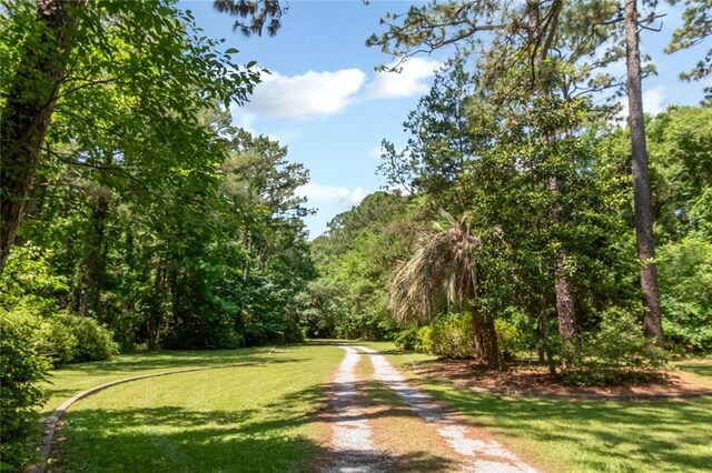 2100 River Forest Rd, Mobile, AL 36605 - surrounding community with a yard, a forest view, and driveway