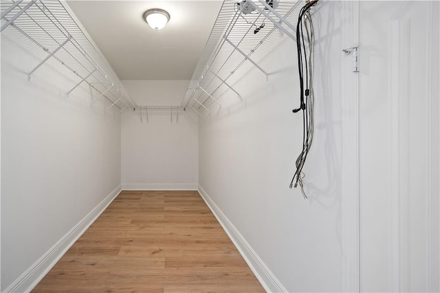 spacious closet with hardwood / wood-style floors