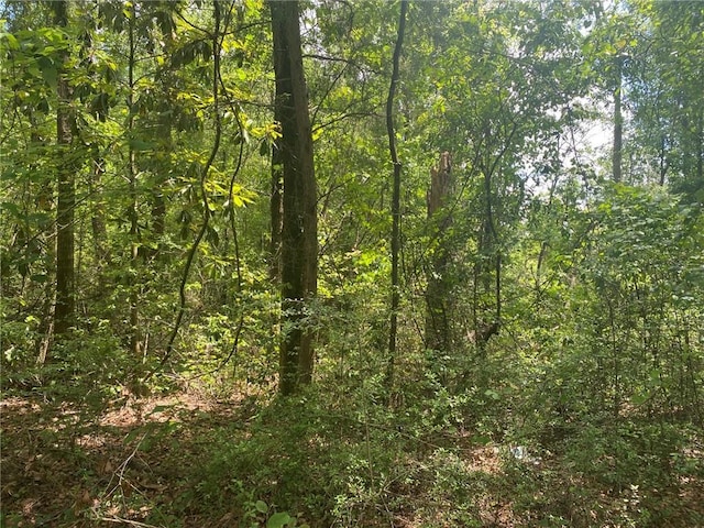 Listing photo 3 for 0 Bear Fork Rd, Mobile AL 36618