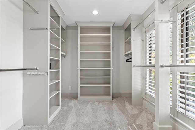 spacious closet with light colored carpet