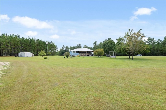 view of yard with a storage shed