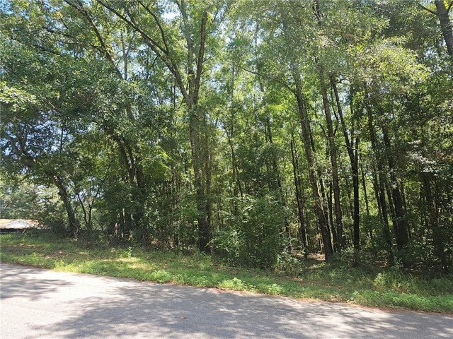 Listing photo 2 for 0 Mill House Dr S, Mobile AL 36619