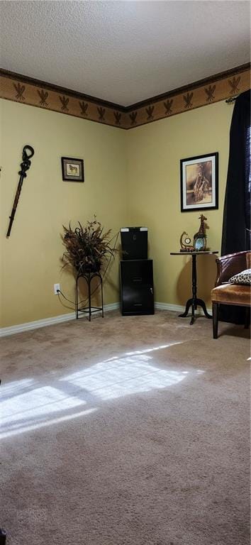 unfurnished room featuring carpet and a textured ceiling