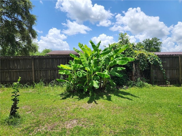 8560 Sadie Ct, Grand Bay, AL 36541 - view of yard