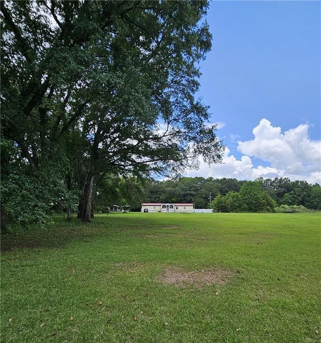 8560 Sadie Ct, Grand Bay, AL 36541 - view of grassy yard