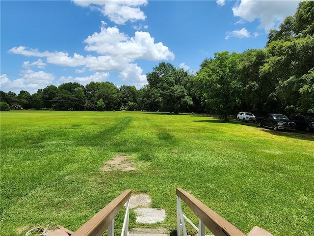 8560 Sadie Ct, Grand Bay, AL 36541 - view of green lawn