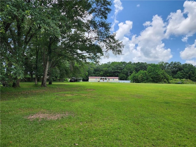8560 Sadie Ct, Grand Bay, AL 36541 - view of grassy yard featuring a forest view