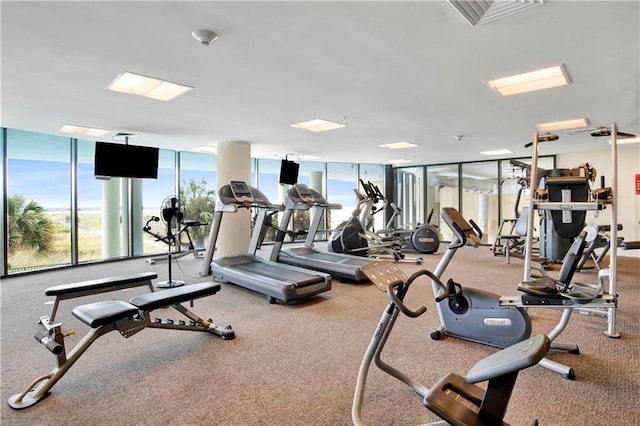 workout area with floor to ceiling windows and carpet floors