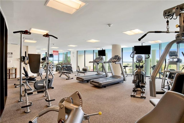 gym featuring a wall of windows