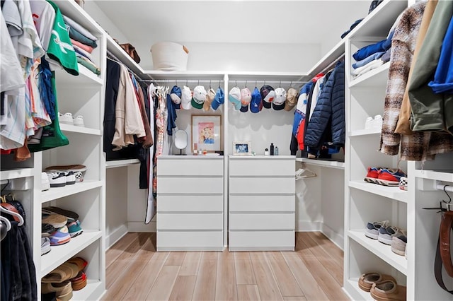 325 Pecan Ridge Blvd, Fairhope, AL 36532 - spacious closet with wood finished floors