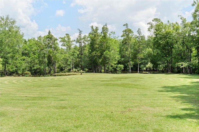 218 Ferry Ave, Saraland, AL 36571 - view of grassy yard featuring view of scattered trees