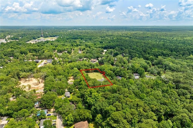 218 Ferry Ave, Saraland, AL 36571 - view of property location featuring a heavily wooded area and property boundaries highlighted