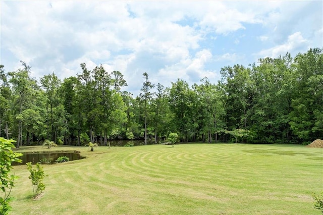 218 Ferry Ave, Saraland, AL 36571 - view of property's community featuring a lawn and a water view
