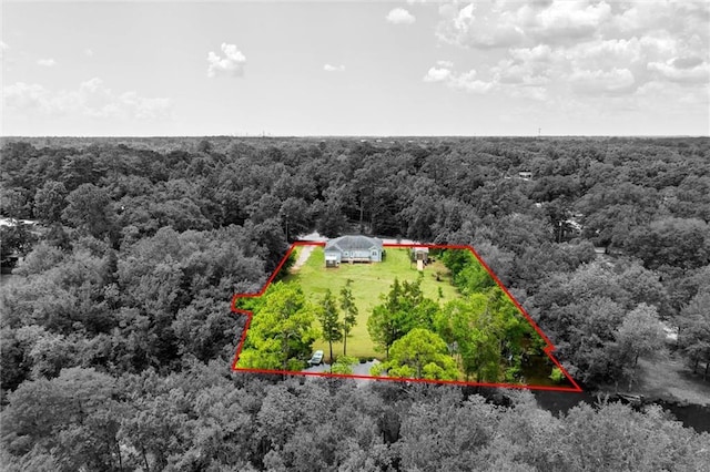 218 Ferry Ave, Saraland, AL 36571 - view of subject property featuring a forest and property parcel outlined
