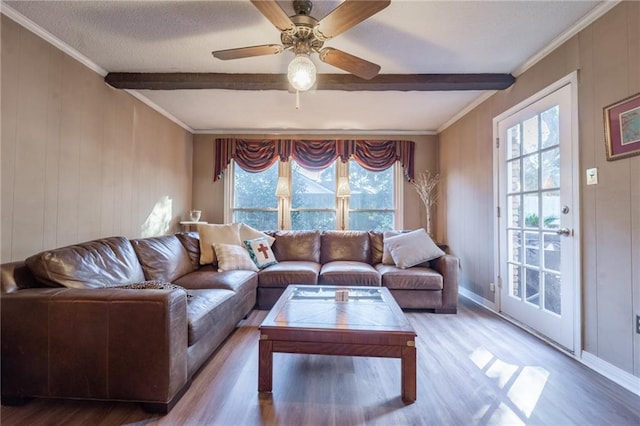 living room featuring plenty of natural light, crown molding, and hardwood / wood-style floors