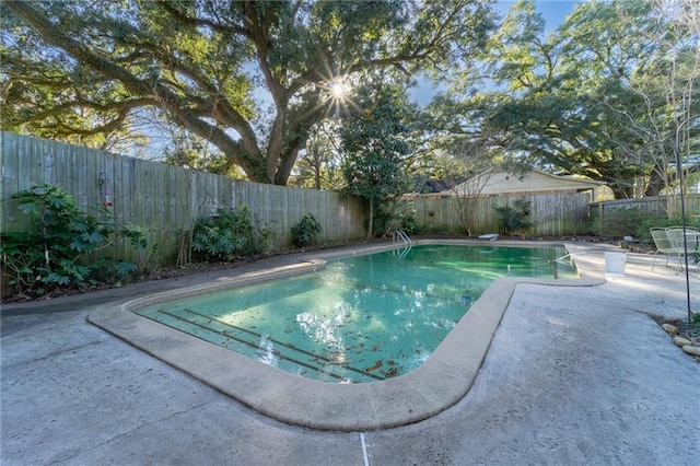 view of pool with a diving board and a patio area