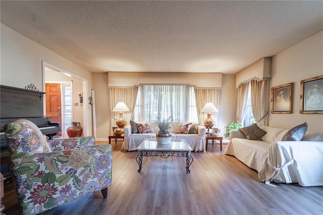 living room with a textured ceiling and hardwood / wood-style floors