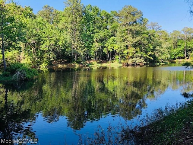 Listing photo 2 for 0 Riverview Nursery Rd, Theodore AL 36582