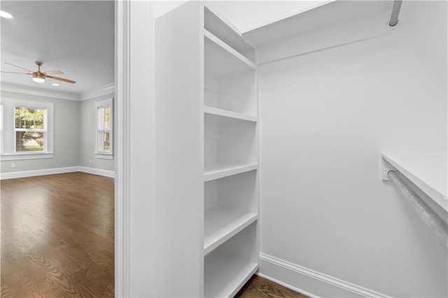 2203 Dauphin St, Mobile, AL 36606 - spacious closet with a ceiling fan and dark wood finished floors