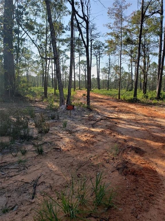 5154 Lossing Rd, Coden AL, 36523 land for sale