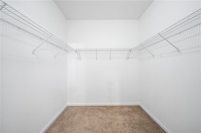 spacious closet with carpet flooring