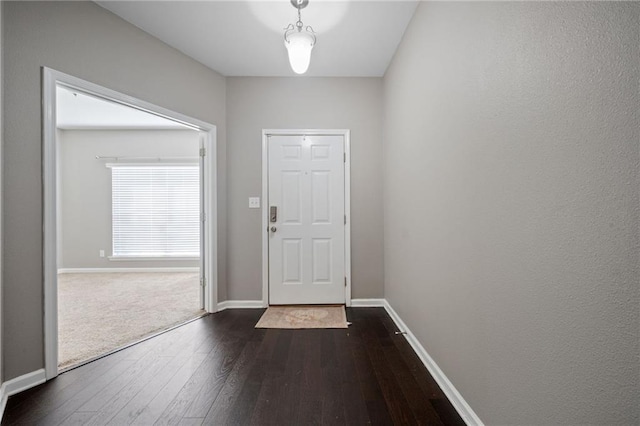 doorway to outside with dark hardwood / wood-style flooring